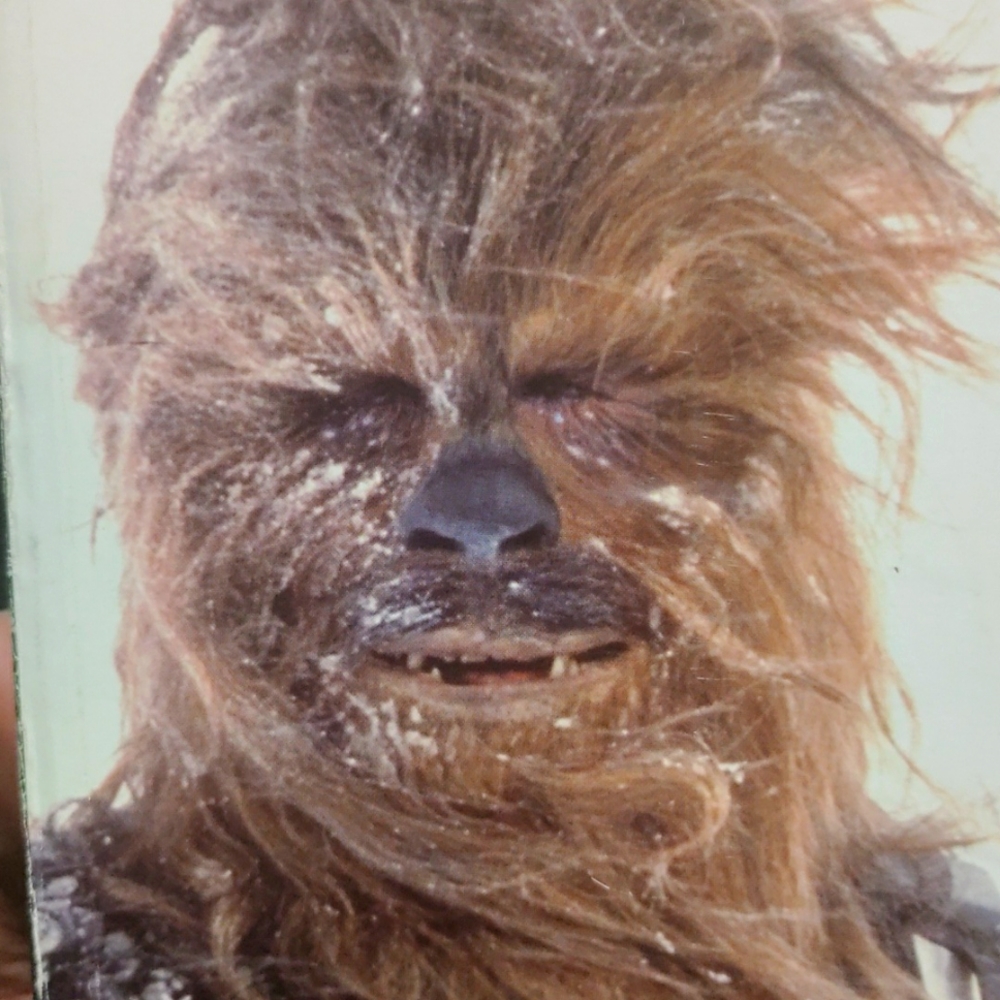 Chewbacca and the San Francisco Giants bobble head